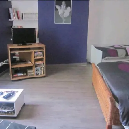 En Ville,le Calme De La Campagne Apartment *